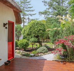 A garden with green trees and plants beside a house with a red door and window at Mary Rose Cottage in Cordal near Castleisland County Kerry