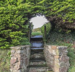 Stone steps leading to a garden path through an archway formed by evergreen shrubs at The Wagon Linney in Bude