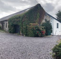 A stone building with ivy on the walls and bushes with red flowers on a gravel driveway at Llofft Yr Yd in Llandwrog near Dinas Dinlle