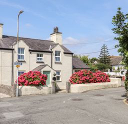 A white house with a green door and pink flower bushes by a street lamp at Bryn Peris in Moelfre