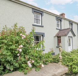 The exterior of a two story house with white walls blue window frames a white door and flowering bushes in front at The Farmhouse in Newport Pembrokeshire