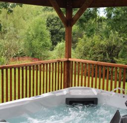 An outdoor hot tub on a wooden deck surrounded by green trees and plants at Pond Cottage in New Quay Ceredigion