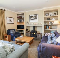 A living room with a fireplace and bookshelves at Dolwylan in Newport, Pembrokeshire