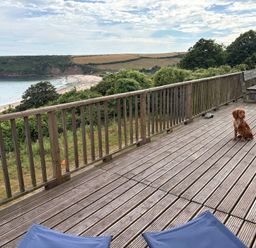 An outdoor area with decking and a dog at Beach Cove Freshwater East, Pembrokeshire