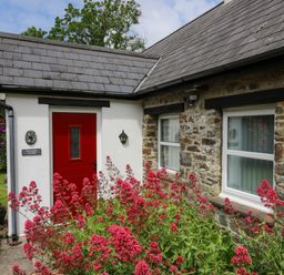 A stone cottage with a red door and pink flowers in front at Trawsnant Cottage in New Quay Ceredigion