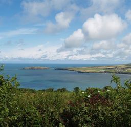 A coastal landscape with bushes in the foreground a bay sea and an island at Cockshead Cottage in St Dogmaels Pembrokeshire