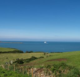 A coastal landscape with grassy fields cattle a fence a pier and a boat on the water at Cable Cottage in Fishguard Pembrokeshire