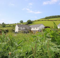 A white house behind tall grass with green hills and trees in the background at Llety Ceiro Bow Street Wales