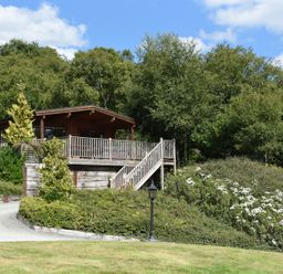 A wooden cabin with a fenced porch surrounded by greenery and trees at Sunny View in Rhayader