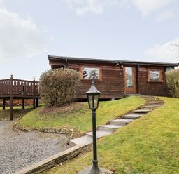 A wooden cabin on a grassy hill with a stone path and a lamp post at Snowy Owl Lodge in Rhayader