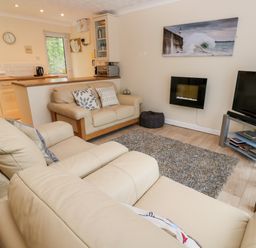 A living room with beige sofas a gray rug a TV and a wall-mounted fireplace at 17 River Banks in Liskeard