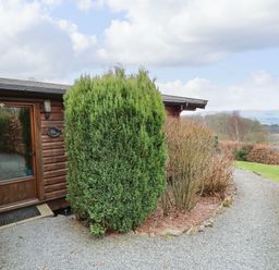 A gravel path leading to a wooden door with number 10 surrounded by green bushes and trees at Valley View in Rhayader