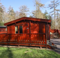 A wooden cabin with a small porch and fence surrounded by trees and grass at Great Leap in Louth
