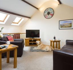 A living room with two dark sofas a dog on a rug a TV on a wooden stand two side tables with mugs and a vase with flowers at Nest Barn in Keswick