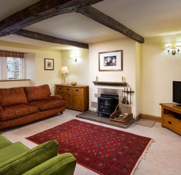 A living room with two sofas a red rug a wood stove and a television at Horrockwood Farm in Watermillock