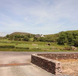 A rural landscape with green fields sheep horse trees and a house in the distance at Coolnaharragill Lower Annexe in Glenbeigh County Kerry