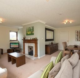 A living room with sofas a coffee table a fireplace a television a dining table with chairs and a sideboard with a large mirror at Todd Crag Ambleside