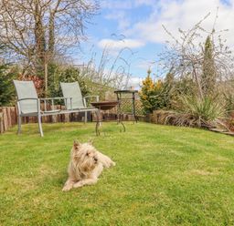 A garden with a dog and furniture at The Rhiw in Llanfair Caereinion