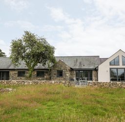 A stone and white house with a tree in front and a grassy field at Pen Y Cefn in Pen Y Cefn