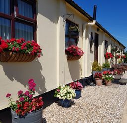 An exterior view of a building with flower pots and hanging baskets along the wall at Broadclyst Cottage in Ottery St Mary