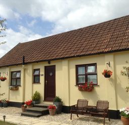 A yellow cottage with brown tiled roof flower pots and hanging baskets outside Broadclyst Cottage in Ottery St Mary
