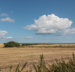 A rural field with bushes and a clear sky with clouds at Island View Cottage in High Hauxley near Amble