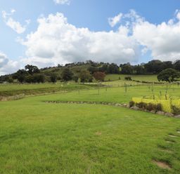 A grassy field with small trees and a stone border under a cloudy sky at Y Granar Llanrhaeadr-Ym-Mochnant