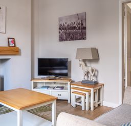 A living room with wooden tables a television and a lamp shaped like a horse at Briar in Graythwaite near Hawkshead