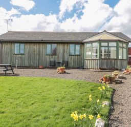 A single story wooden house with a conservatory and garden with daffodils at The Shieling in Warkworth