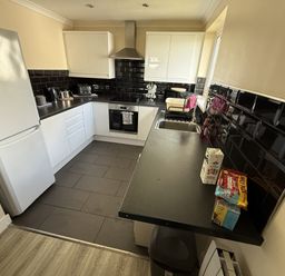 A kitchen with a refrigerator sink and kitchen cabinets at Hembry Meadows near Honicombe Park near Gunnislake