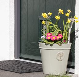 A flower pot with yellow and pink flowers placed near a dark green door at 4 Parc Delfryn Brynteg near Benllech
