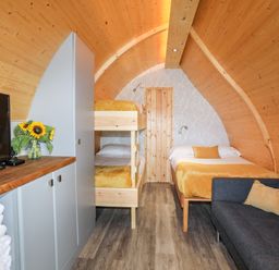 A wooden pod bedroom with bunk beds a double bed a gray sofa with cushions a TV on a cabinet and sunflowers at Woodland Pod Maerdy near Corwen