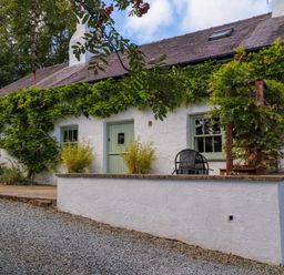 A white cottage with green window frames and door with plants growing on the walls and a gravel driveway at Bwthyn Gwyn Ty'n Y Pant in Boduan near Nefyn