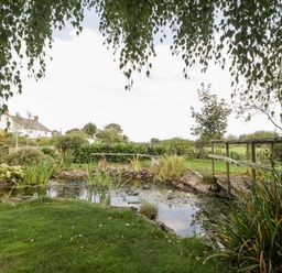 A garden with a pond surrounded by plants and a wooden bridge in the background at The Barn at Rapps Cottage in Rapps near Ilminster