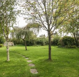 A garden with grass a stone pathway and several trees at The Barn at Rapps Cottage Rapps near Ilminster