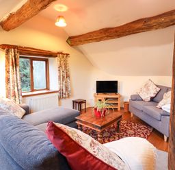 A living room with two grey sofas a wooden coffee table with a plant and a television on a stand at Yr Hen Felin in Llanfyllin