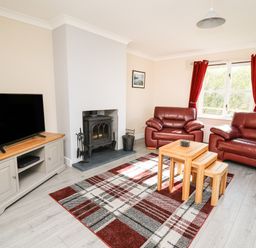 A living room with two red sofas a wood stove and a television on a wooden cabinet at Glyn Cottage in Llanon