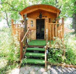 A wooden cabin with green carpeted steps and porch surrounded by plants at Hugatree in Little Dunham near Litcham