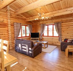 A living room with brown leather sofas a wooden coffee table a television and checkered curtains at Rowan Lodge in Greetham Rutland