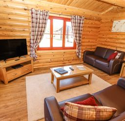 A living room with wooden walls two brown sofas a wooden coffee table a TV on a wooden stand and checkered curtains at Rowan Lodge in Greetham Rutland