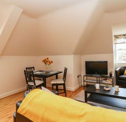 A living room with a black dining table and chairs sunflowers on the table a television on a stand an armchair with a yellow cushion and a coffee table with mugs and a plant at Harbour Reach 6 Weymouth