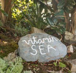 A garden area with a rock painted with the words vitamin SEA surrounded by plants and moss at 33 Weymouth Park in Hope Cove