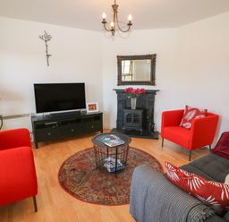 A living room with red armchairs a gray sofa a round rug a black fireplace and a flat screen tv at 1 Closheen Lane in Rosscarbery County Cork