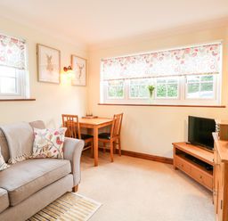 A sitting room with a sofa pillows table chairs and a television at Hunters Lodge in Great Moulton near Long Stratton