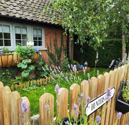 A garden with a wooden fence and purple flowers in front of a brick house at Hunters Lodge in Great Moulton near Long Stratton