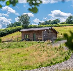 A cabin in a field at Birch Banc Retreats - Bedw Llanidloes