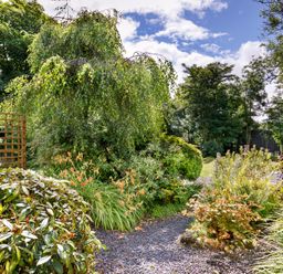 A garden path with various shrubs trees and flowers under a blue sky at Little Leighs in Warbstow