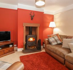 A living room with a leather sofa blue plaid cushions wood burning stove and television at Rayside Ullswater