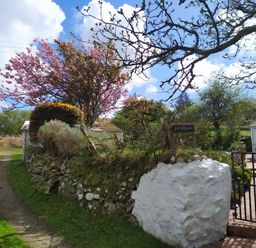 A stone wall with greenery and a wooden sign reading penllain near a white building and a pathway at Penllain in Newport Pembrokeshire