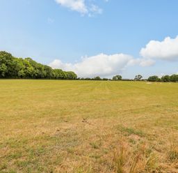 A green field with trees and cows under a blue sky at Postbox Cottage in Feltwell